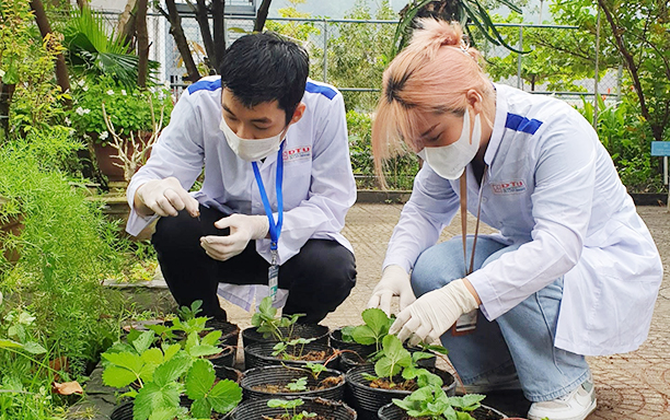 Đại học Duy Tân đào tạo Công nghệ Sinh học và Dược sĩ cùng xếp hạng 251-300 thế giới