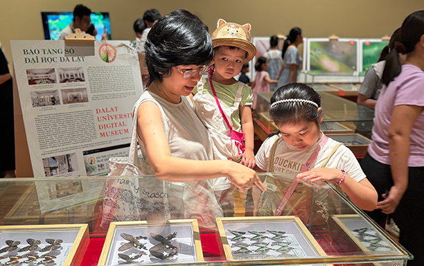 Triển lãm bộ sưu tập côn trùng quý hiếm bậc nhất Việt Nam