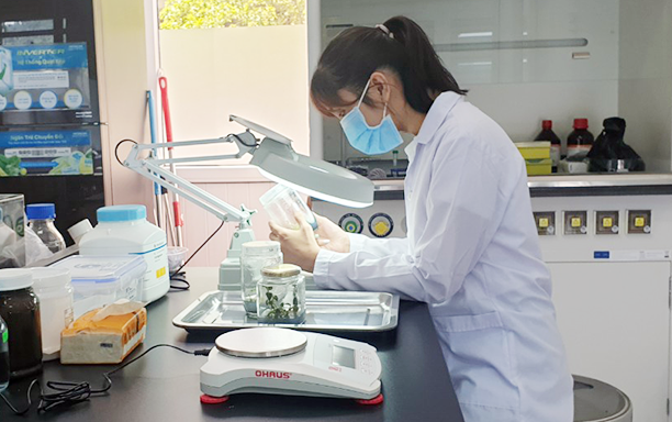 Nursing, Medical Laboratory Technology, and Biomedical Engineering Training at DTU